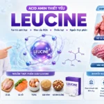 Leucine