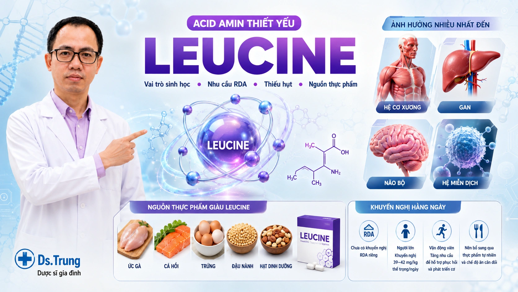 Leucine (BCAA) là gì? Vai trò của Leucine trong cơ thể