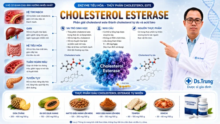 Chosterol Eterasea