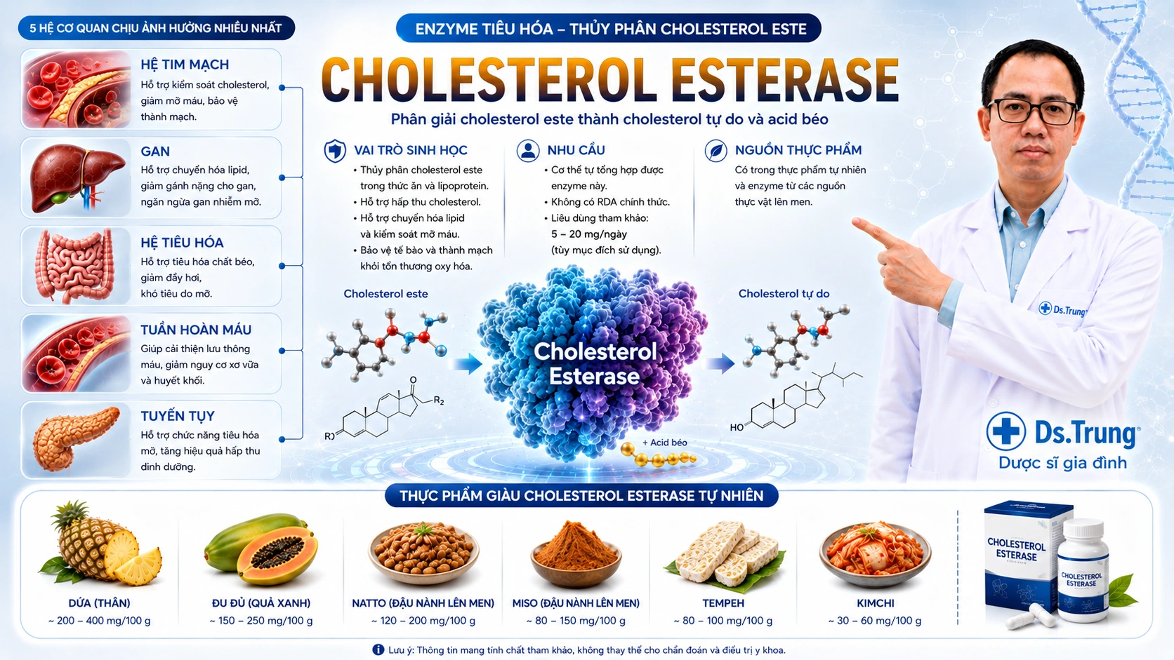 Cholesterol Esterase là gì? Vai trò của Cholesterol Esterase với cơ thể