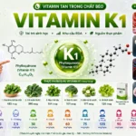 Vitamin K1