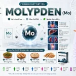 Molypden