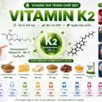 Vitamin K2