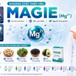 Magie