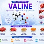 Valine
