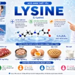Lysine