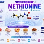 Methionine