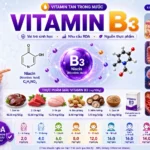Vitamin B3