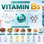 Vitamin B5