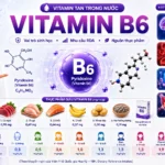 Vitamin B6