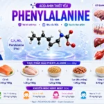 Phenylalanine