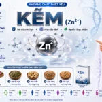 Kẽm