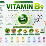 Vitamin B9