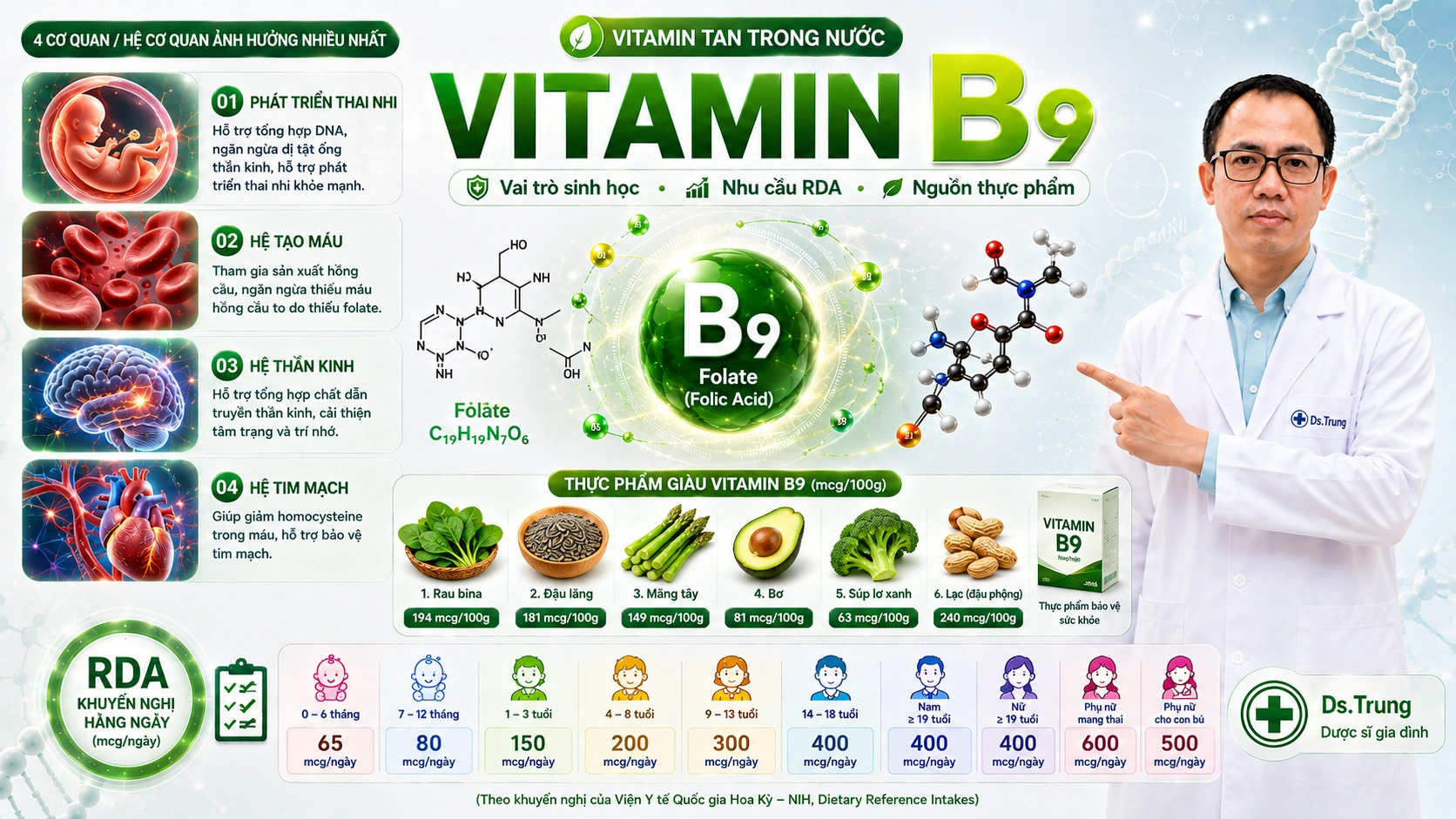 Vai trò của Vitamin B9 (Acid Folic) trong cơ thể