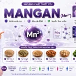 Mangan