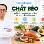 Chất béo (lipid): Là gì? Vai trò và nhu cầu hàng ngày