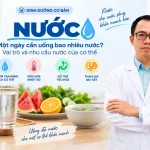 Nước – Vai trò và nhu cầu hàng ngày của cơ thể