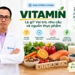 Vitamin: Là gì? Nhu cầu và nguồn thực phẩm